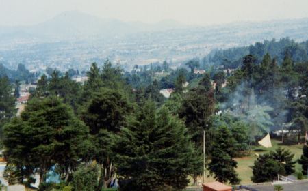 Puncak Pass�F�W���J���^�x�O