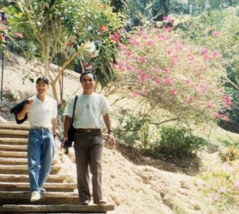 Puncak Pass�̒r�̋߂��ŁB�ׂɂ���͕̂��ł��B