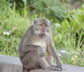 �v�[���T�C�h�ɂ͐��C�̉���