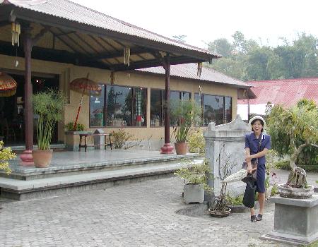 Bedugul�̃��X�g����