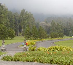 �A���������t��