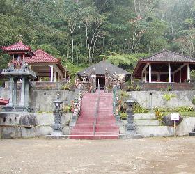 �A�����̒��ɂ��邨��