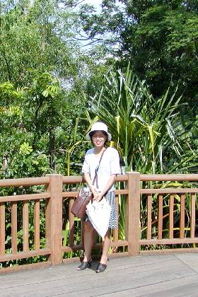 �V���K�|�[���������ɂ�