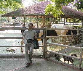 �����o�b�N��