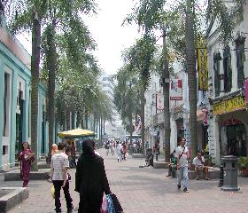 ����͂���Ȋ���