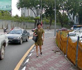 �z�e���̎�����U��