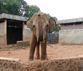 ���O�i��������: ��