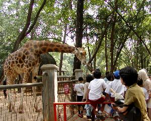 ���O�i��������: �L����