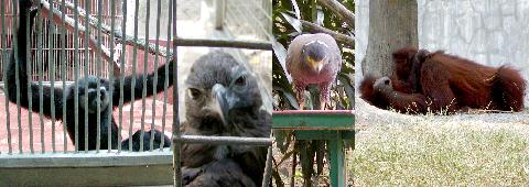 ���O�i���������̓�������