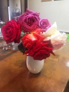 いただいたバラの花