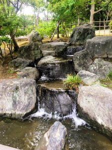 公園のせせらぎ