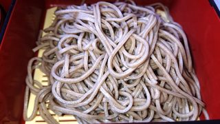 セットの蕎麦｜つきじ海賓 下平間店